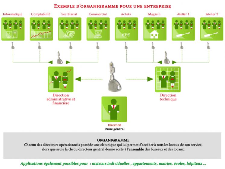 Organigramme - clé unique