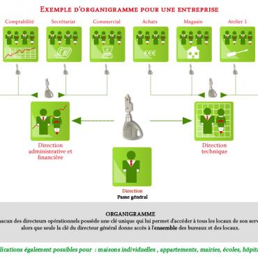 Organigramme - clé unique